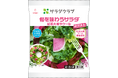 累計約66万パック販売!冬が旬の国産“紅芯大根”を使用「旬を味わうサラダ 紅芯大根やケール」
