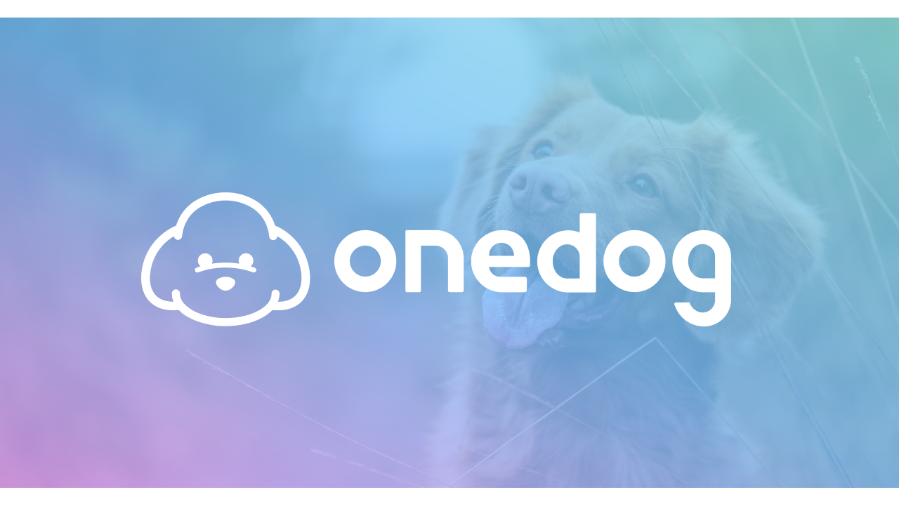 愛犬のおさんぽ管理アプリ Mean が Onedog へサービス名変更 Dotdのプレスリリース