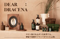 日本初上陸!「Life&Beauty by JUN ONLINE」にて、韓国発ヘア&ボディケアブランド「DEAR DRACENA(ディアドラセナ)」の販売をスタート。