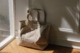 冬から春へ。L.L.Bean for SALON、来春を彩る5色の限定トートバッグ