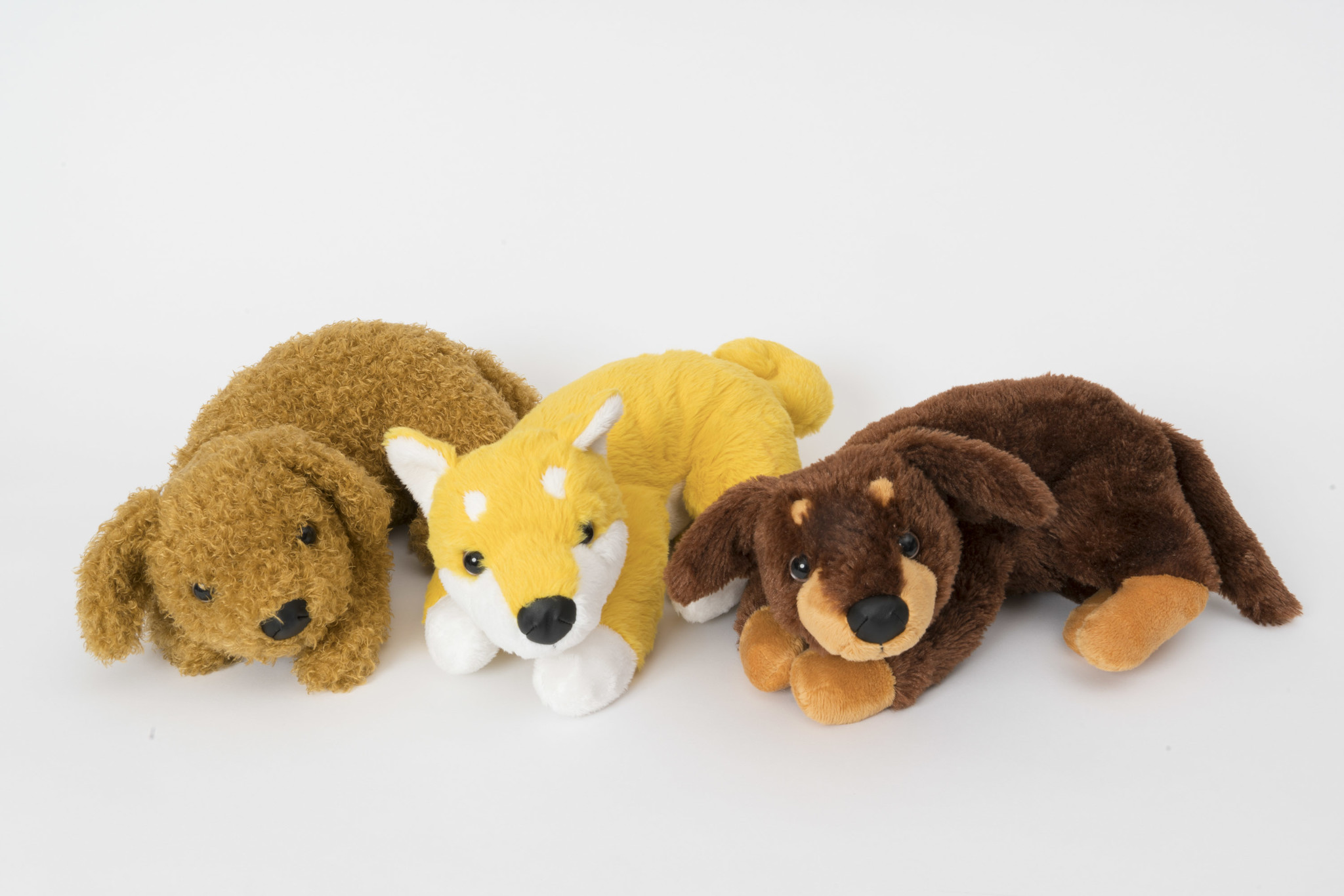 撫でると鳴く、呼べば応える犬型ロボット「なでなでワンちゃん」に、集中力を高める効果を確認｜トレンドマスター株式会社の