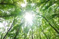 「エシカル消費」という言葉の意味を理解している人の内、6割以上の人が「エシカル消費」を実践している!株式会社SASSEが「エシカル消費」の実態を調査!
