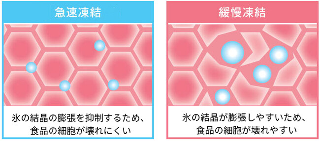 急速・緩慢凍結イメージイラスト