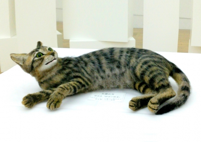 コロナショックで閉鎖した猫好きの集まる教室の再開をクラウドファンディングで支援しよう 日本羊毛アート学園のプレスリリース