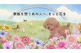【調査】8月28日は「虹の橋記念日」 友人のペットが亡くなった際、6割以上が“贈り物に迷う”