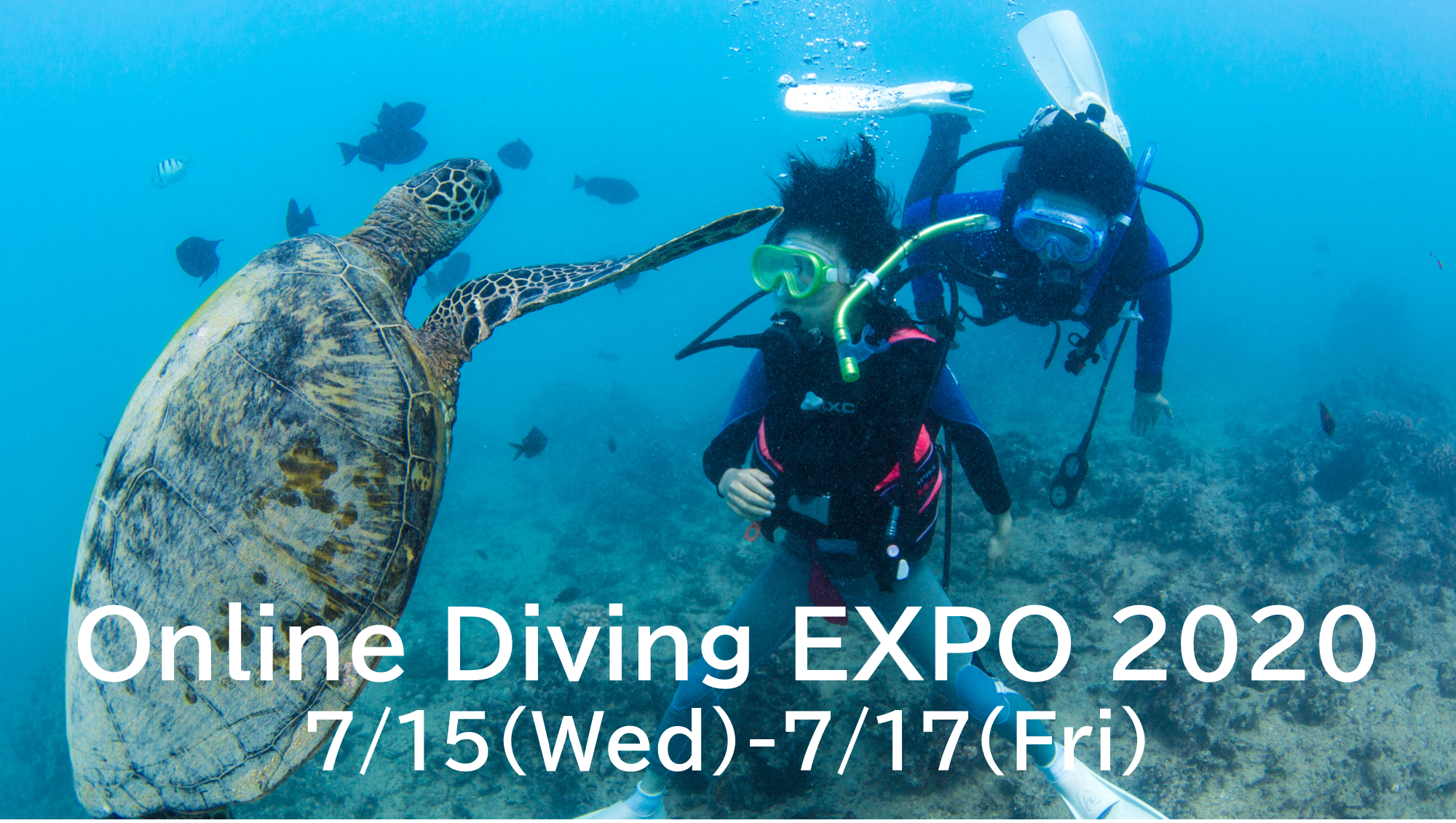 7 15 7 17 ダイビング業界史上初の Online Diving Expo 開催 株式会社unitedoceansのプレスリリース