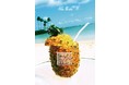 Aloha Blossom at MOY STORE 今年もMOY STORE 限定モデル“CRAZY”を販売 / Aloha Blossom の生地を使用したワークショップも開催