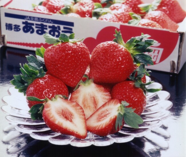 「福岡のブランドいちご あまおう」(イメージ) 「福岡のブランドいちご あまおう」(イメージ)