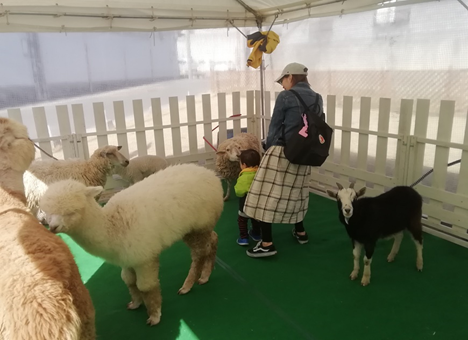 ふれあい動物園(イメージ) ふれあい動物園(イメージ)