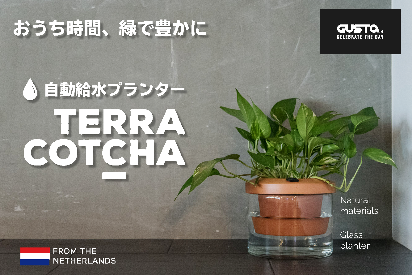 人工観葉植物６鉢まとめて 販売地域限定です兵庫県加古川市より１００km以内の方にお願いいたします 送料無料 クリスマスファッション 送料無料