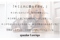 quadorシリーズからペットと一緒に暮らす派生ブランド「quador Contigo」プロジェクト始動!