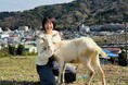 牧場から学ぶ、新しい地域資源のかたち。湯河原・スピルバーグ・ヤギポート、視察受け入れを開始