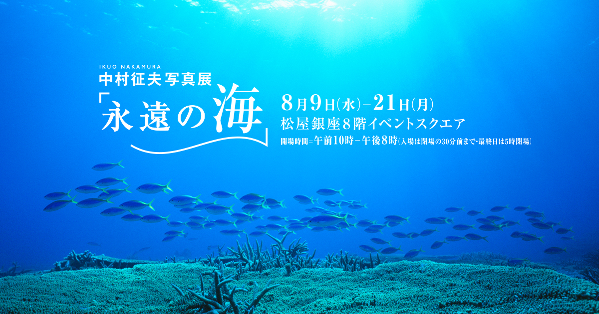 水中カメラマン中村征夫 新作写真展「永遠の海」開催のお知らせ｜株式