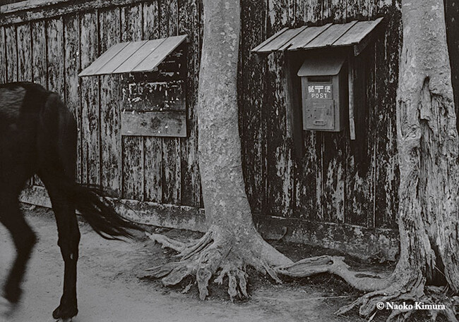 板塀、追分、秋田、1953年