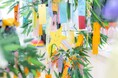 【名古屋市】子どもたちの夢と願いを分析。将来の夢に加え、家族や周囲の幸せを願う声も増加