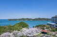 春の訪れ、敷地内2,000本の桜を満喫。昨年ご好評の「SAKURA LUXE」プランが進化して今年も1か月限定で販売 - 三重県伊勢市「旅荘 海の蝶」