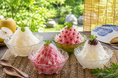 鳥取の恵みを味わう、夏限定のひんやりスイーツ。三朝温泉「三朝薬師の湯 万翆楼」“ご当地かき氷” 4種を7月20日より販売開始。