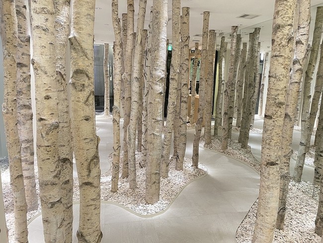 銀座4丁目に出現した 白樺の森 がウッドデザイン賞を受賞 Yoseido銀座店 全フロアのコロナ対策を強化 株式会社養生堂企画のプレスリリース