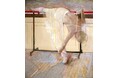 没後20年 ロバート・ハインデル展
