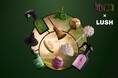 <Wicked x Lush>オズを称えよ!来春公開の映画『ウィキッド ふたりの魔女』との限定コラボレーション商品全11種を11月21日(木)より順次発売