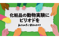 日本でも化粧品の動物実験を終わらせるために4月24日「世界実験動物解放デー」より署名キャンペーンを開始