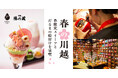 川越の春を満喫!だるま祈願×足湯喫茶さくら色の限定スイーツで心和む体験