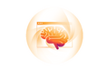 Cloudflare、Webページの読み込みを45%高速化する「Speed Brain」を発表