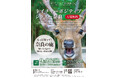 ネイチャーポジティブシティー奈良 を開催― 奈良公園の鹿と人の共生、世界遺産の未来を考えるシンポジウム ―9月26日開催