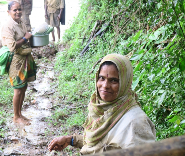 南インドの農村で田植えに勤しむ女性たち