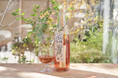 誤算で生まれた日本酒が薔薇色に。ワイナリーのオーク樽で熟成した、仁井田本家×発酵デパートメントのオリジナル日本酒「にいだのごさん オーク樽熟成」発売。