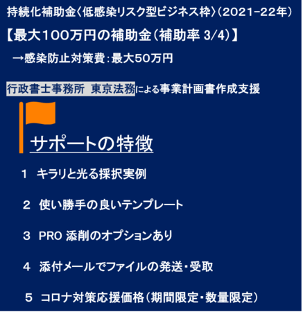 持続化補助金〈低感染リスク型〉事業計画書作成支援