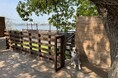泉大津市なぎさ公園NATURAL DOG PARKに2025年5月新しい貸切区画がオープンしました!