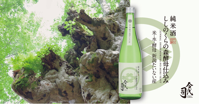 ブナの巨大異形樹で有名な神秘の森から生まれた『純米酒 今代司 ししのくらの森酵母仕込み』