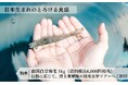 「完全国内生産 南国白甘海老ファンド」募集開始