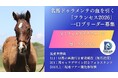ファンと育てる、新しい馬産のかたち―「フランセス2026 育成ファンド」募集開始