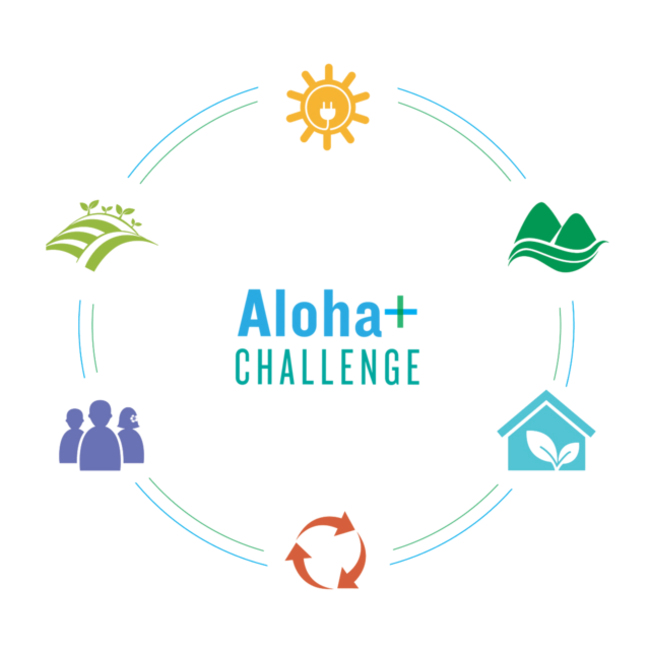 ハワイ州のゴールを設定した特別プログラム「アロハプラスチャレンジ」