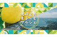 高校生発案の地域活性化イベント「大崎上島まるっとマルシェ」を開催しました