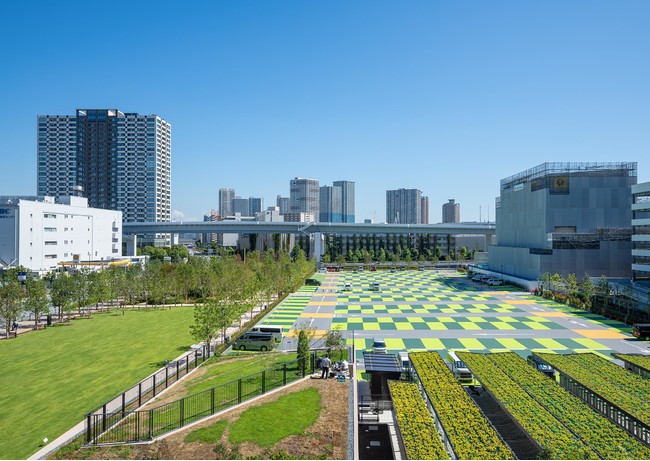 会場となる屋外イベントスペース／有明ガーデン　スポーツエンターテイメント広場