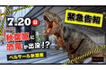 アキバ×恐竜の異色共演!7/20(日)ティラノサウルスが秋葉原に出没!