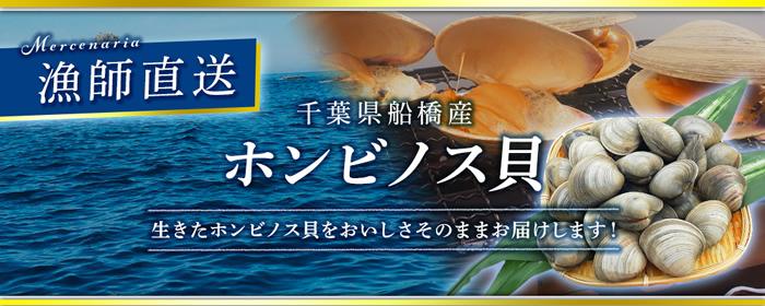 漁師直送 獲れたて新鮮 千葉県船橋産 ホンビノス貝 販売開始 株式会社goqsystemのプレスリリース