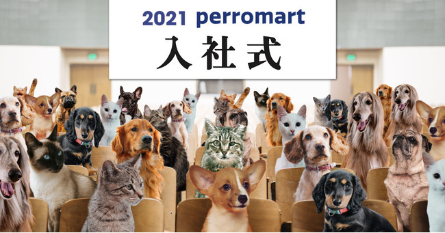 perromart_welcome_2021