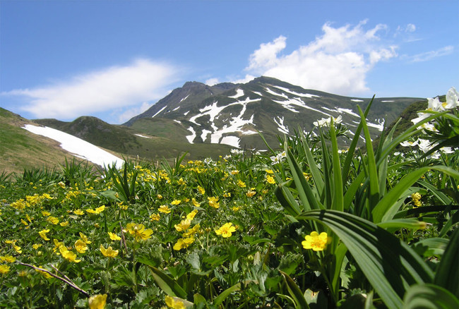 鳥海山