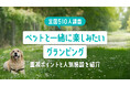 【全国510人調査】ペットと一緒に楽しみたいグランピング|重視ポイントと人気施設を紹介