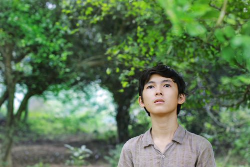 草原に黄色い花を見つける 草原に黄色い花を見つける