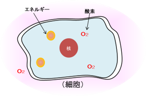 〈イメージ〉酸素リッチではない状態