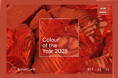 未来の市場を動かす色とは？ WGSNとColoro（カラロ）が2028年のカラー・オブ・ザ・イヤー予測を公開