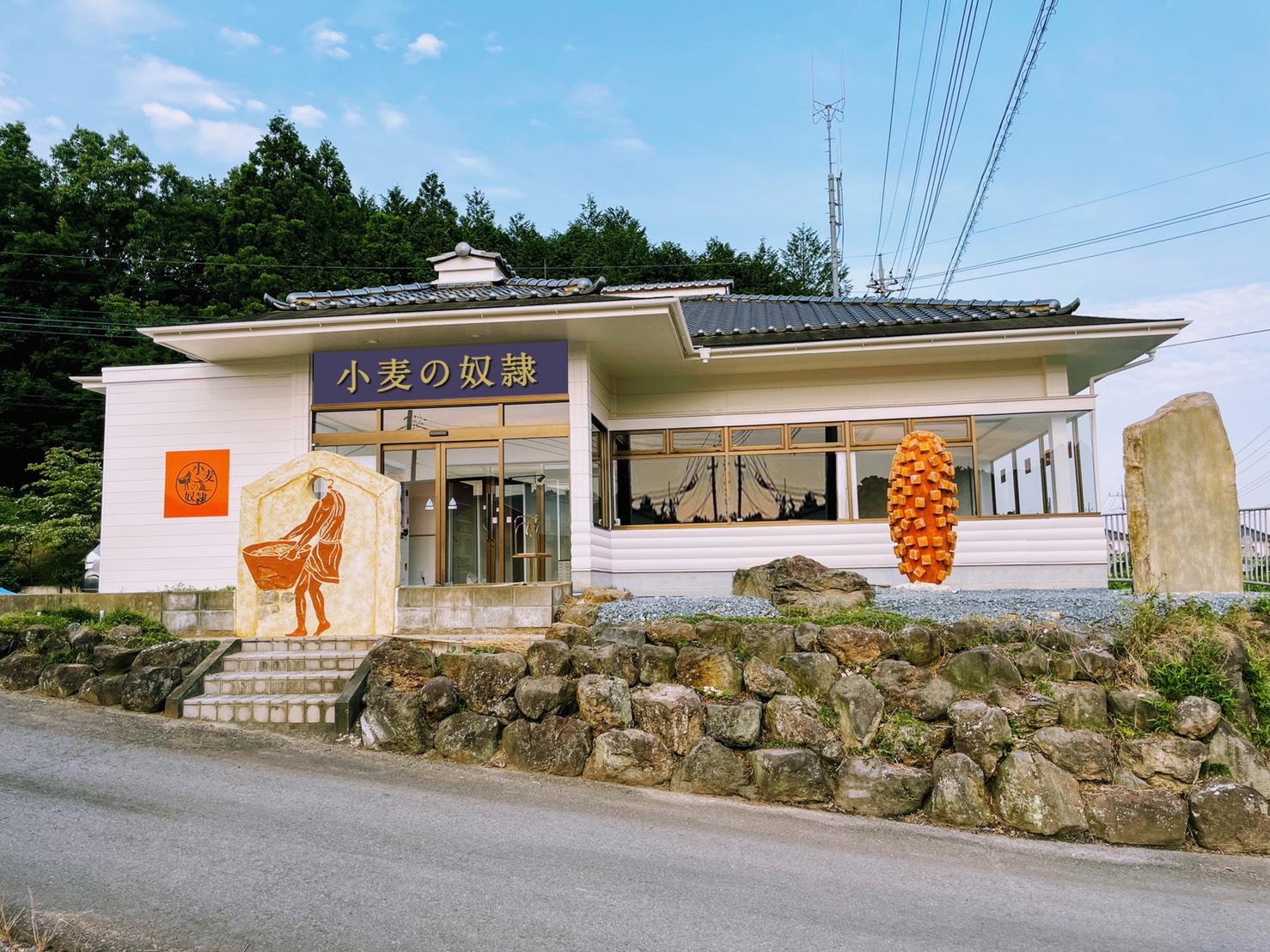 D62684 148 418121 7