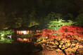 「一歩一景」の名園で楽しむ幻想の夜 特別名勝 栗林公園「秋のライトアップ」開催2024年11月22日(金)〜12月1日(日)