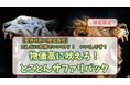物価高騰に立ち向かう家族応援プラン 期間限定販売のお知らせ