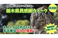 栃木県民限定！県民の日を彩る特別な1週間（栃木県民割）
